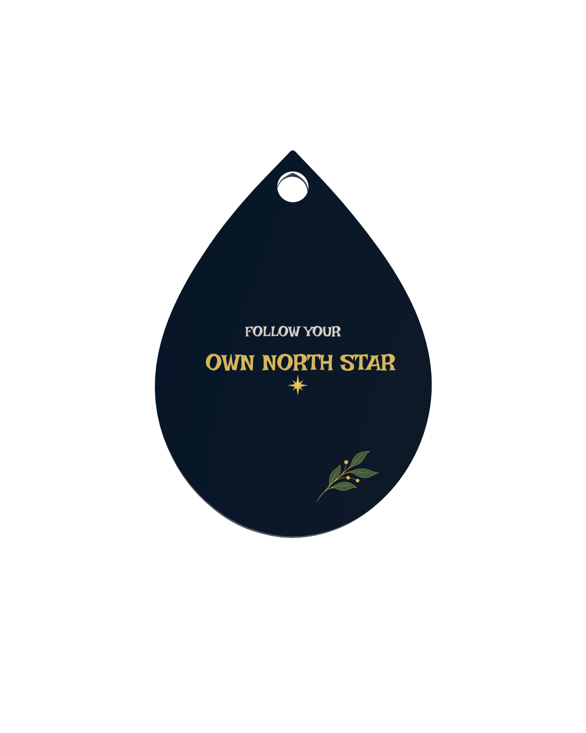 North Star Journey