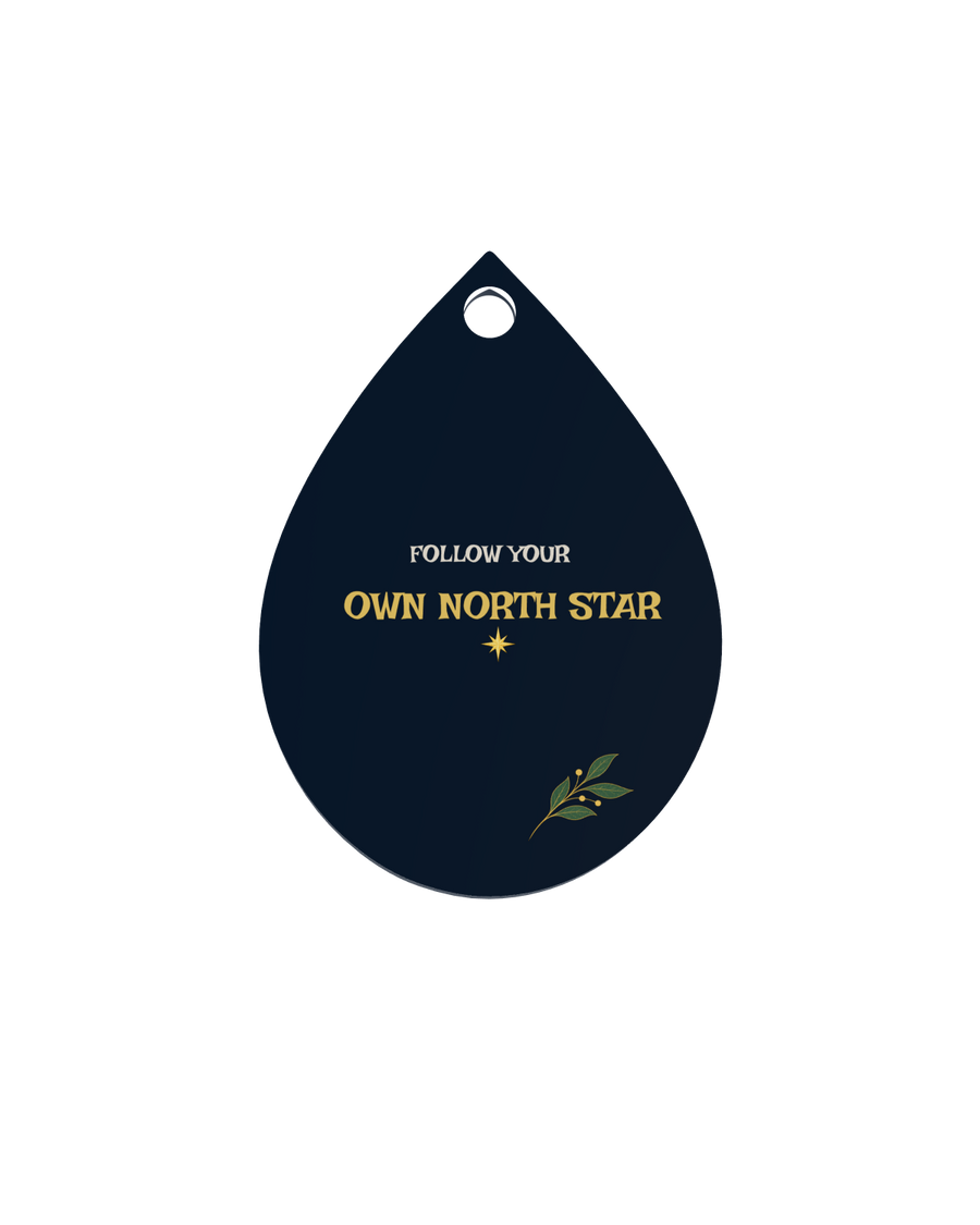 North Star Journey