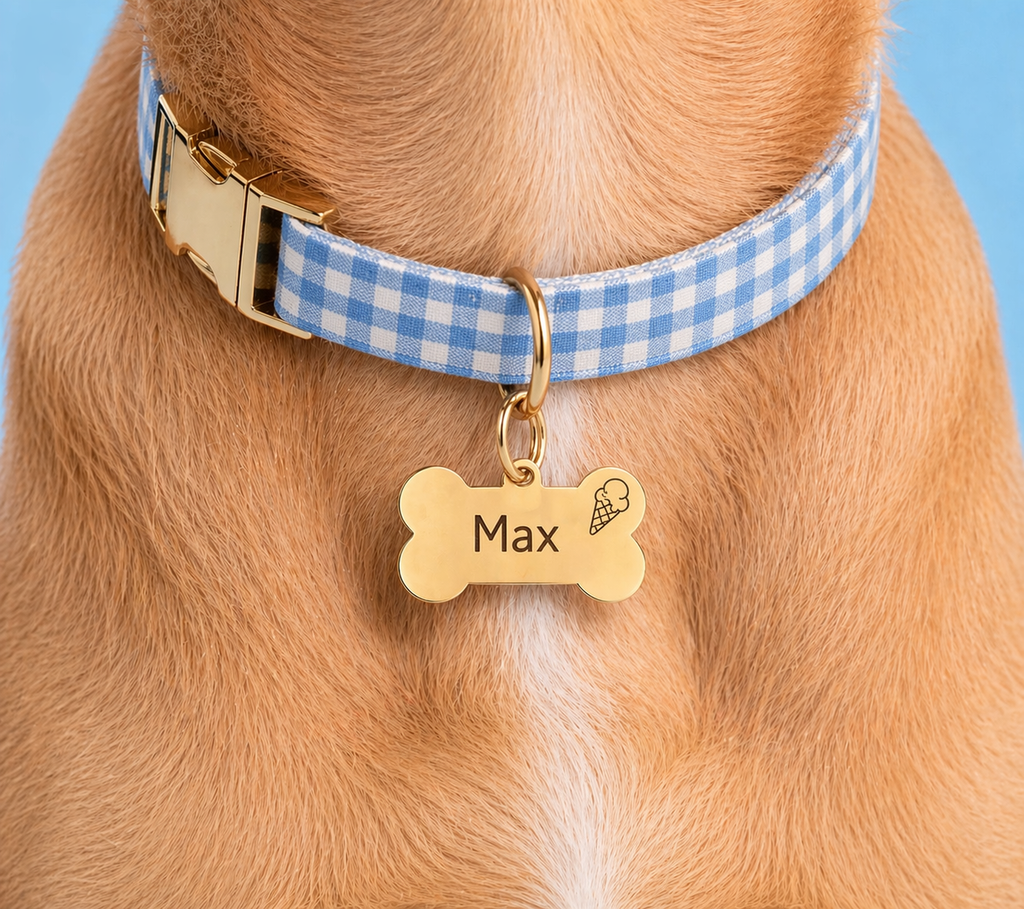 Custom Pet ID Tags – Design Your Own