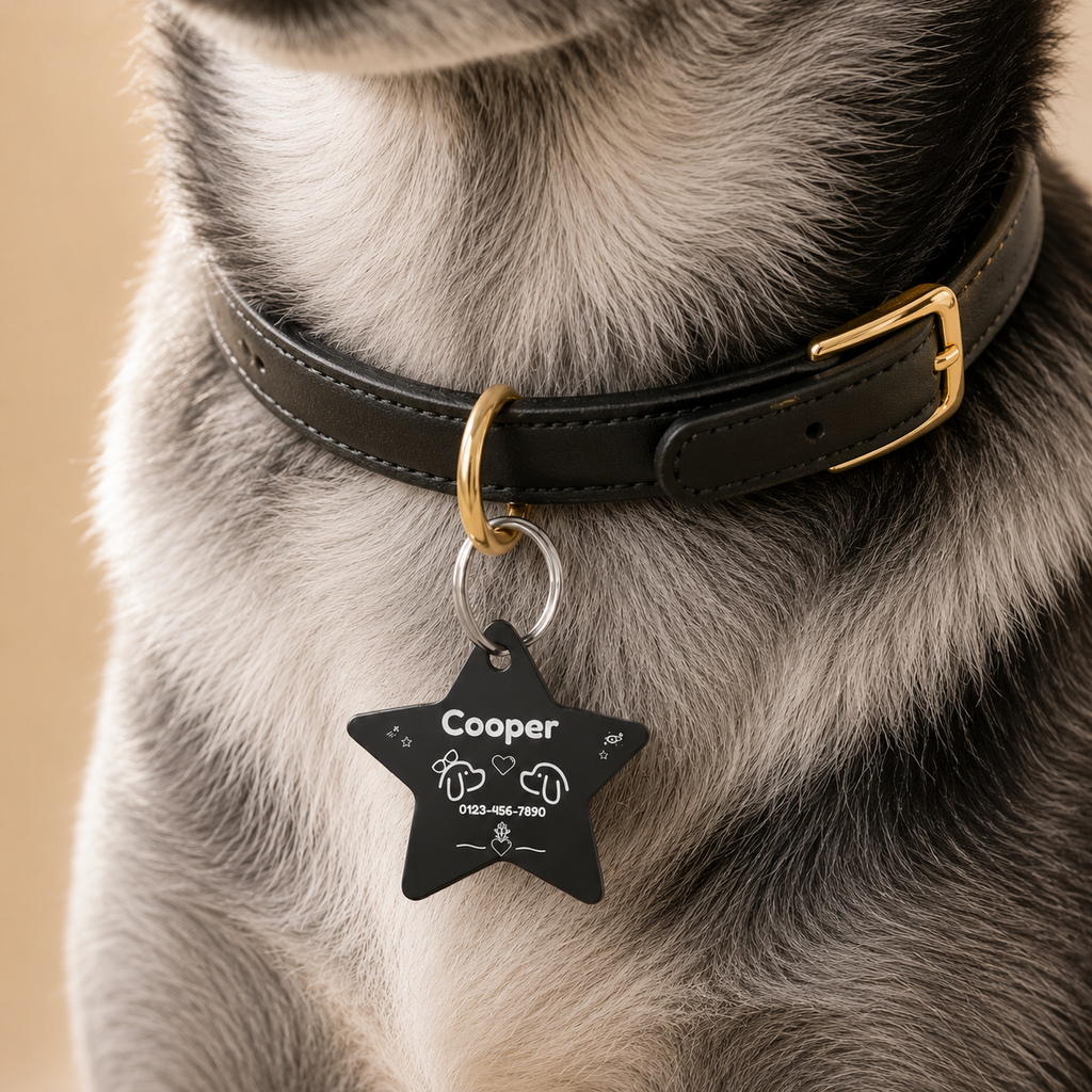 Black Star Personalized Pet ID Tag