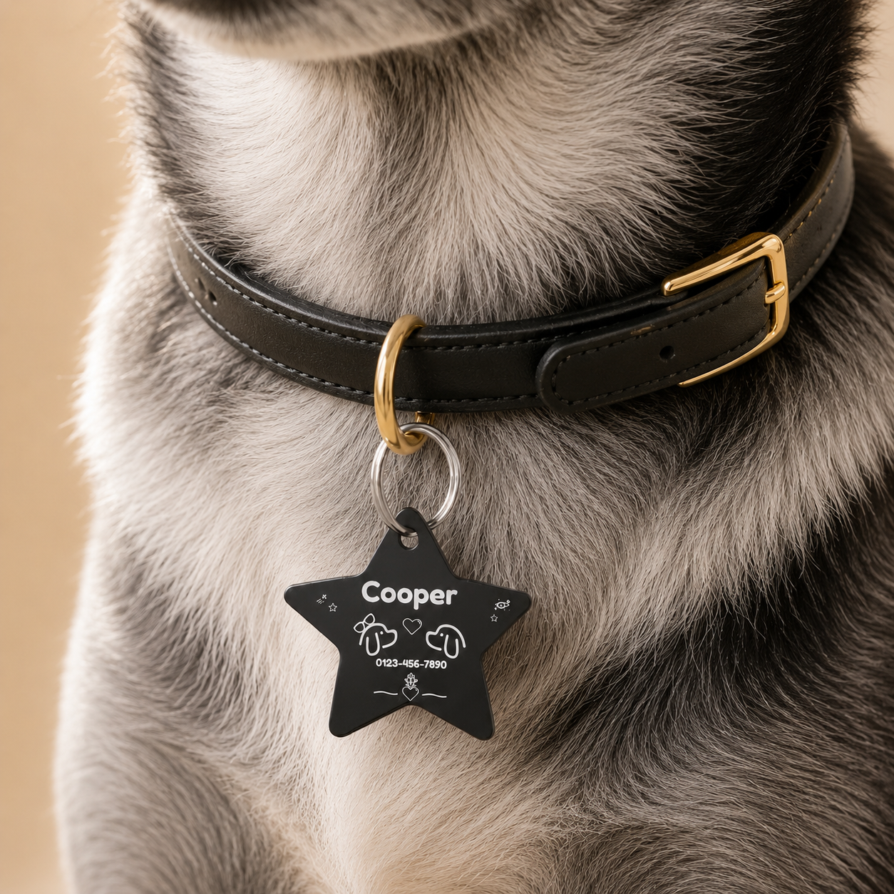 Black Star Personalized Pet ID Tag