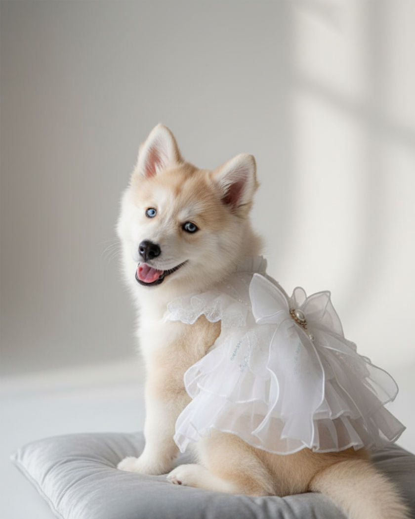 Pure & Lovely White Tulle Pet Dress (Dog & Cat) – For Birthday, Party & Photoshoots