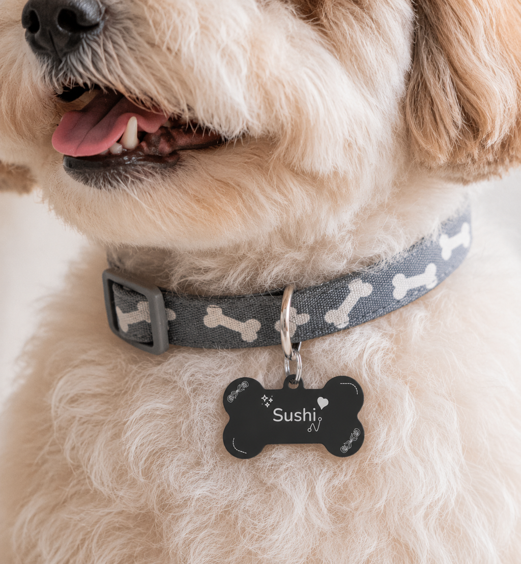 Midnight Charm Pet Tag Template