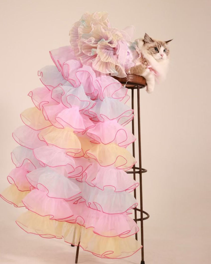 Sweet Together Pastel Rainbow Pet Dress (Dog & Cat) – Short Style or Full Gown