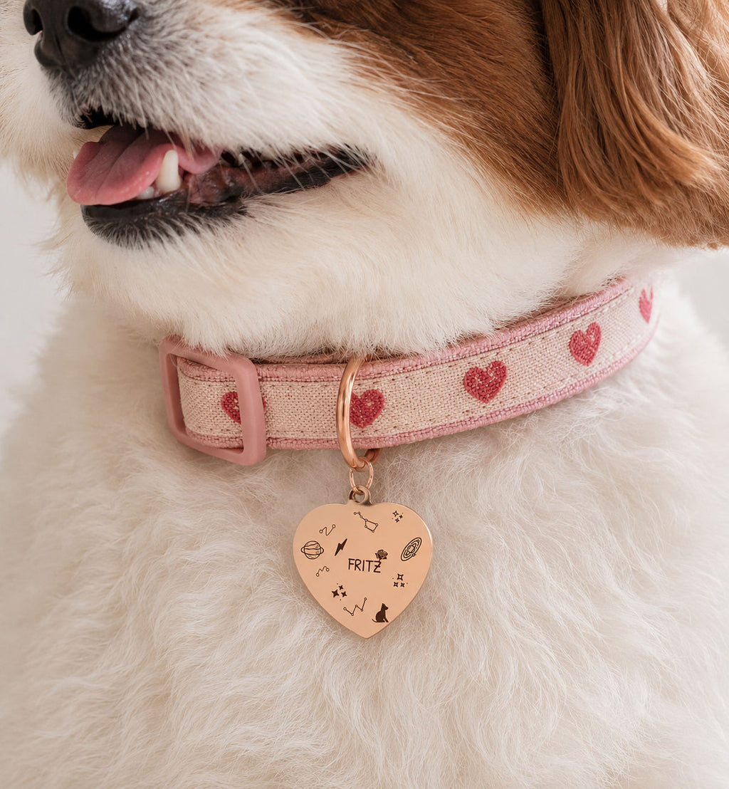 Cosmic Heart Pet Tag Template
