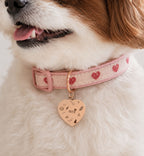 Cosmic Heart Pet Tag Template