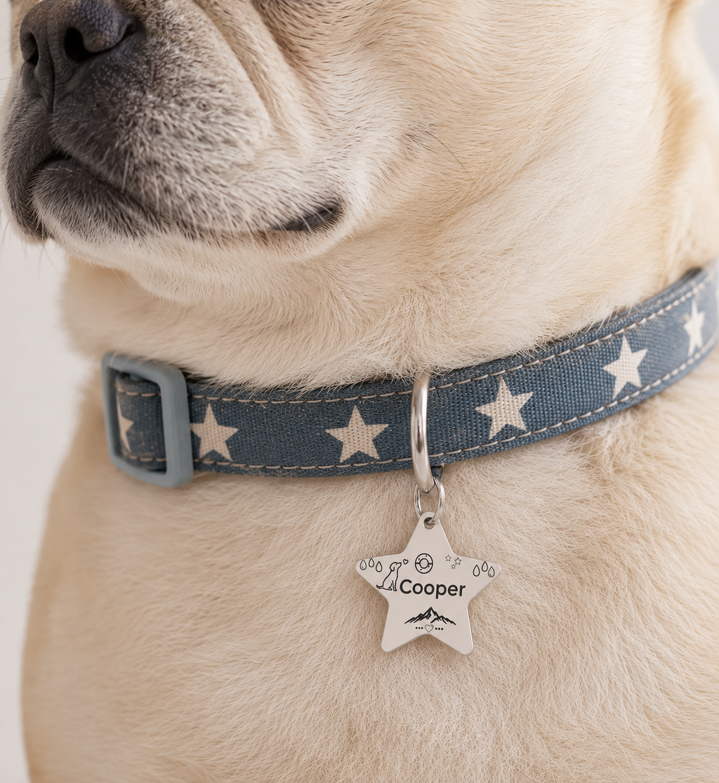 Little Guardian Star Custom Pet ID Tag