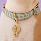 Custom Pet ID Tags – Design Your Own