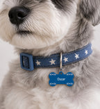 Sky Ribbon Pet Tag Template