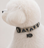 Ocean Waves Pet Tag Template