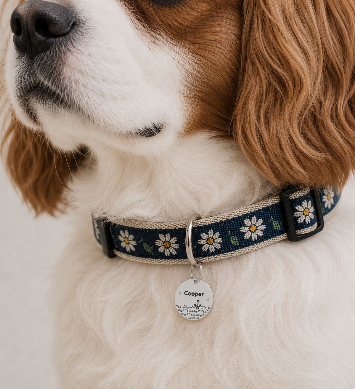 Coastal Adventure Pet Tag Template