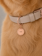 Gentle Journey Pet Tag Template