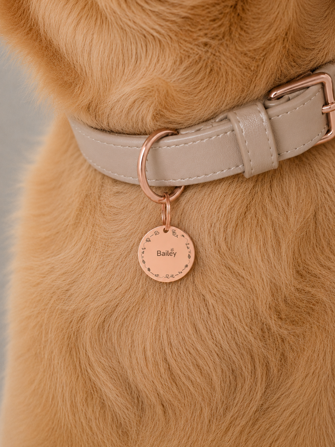 Gentle Journey Pet Tag Template