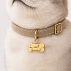 Safe & Loved Custom Bone Pet Tag