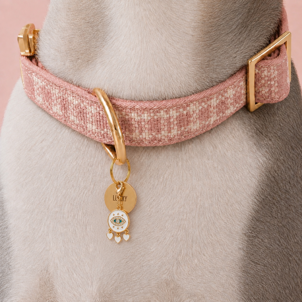 Custom Pet ID Tags – Design Your Own
