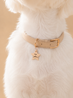 My Little Explorer Custom Star Pet Tag