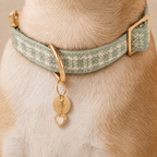 Custom Pet ID Tags – Design Your Own