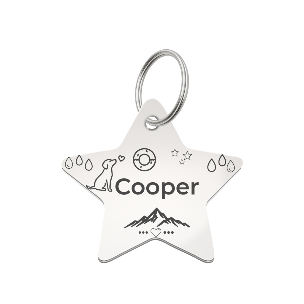 Little Guardian Star Custom Pet ID Tag
