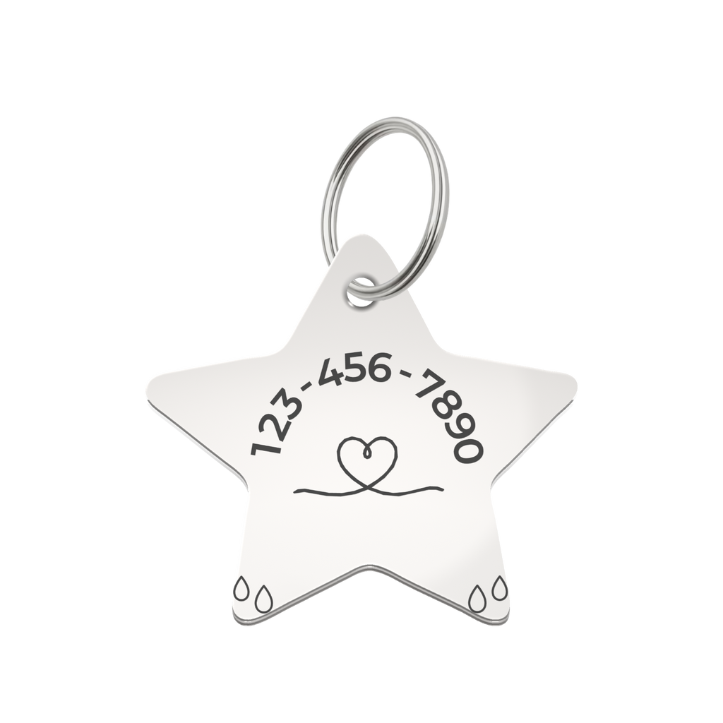 Little Guardian Star Custom Pet ID Tag