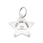 Little Guardian Star Custom Pet ID Tag