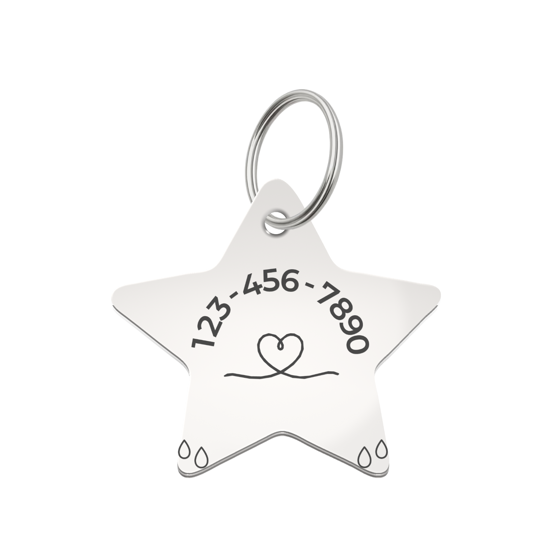 Mountain Star Pet Tag Template