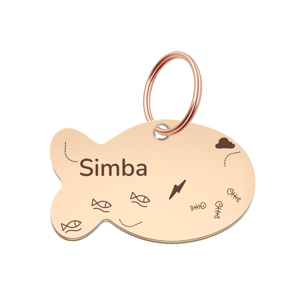 Little Explorer Pet Tag Template