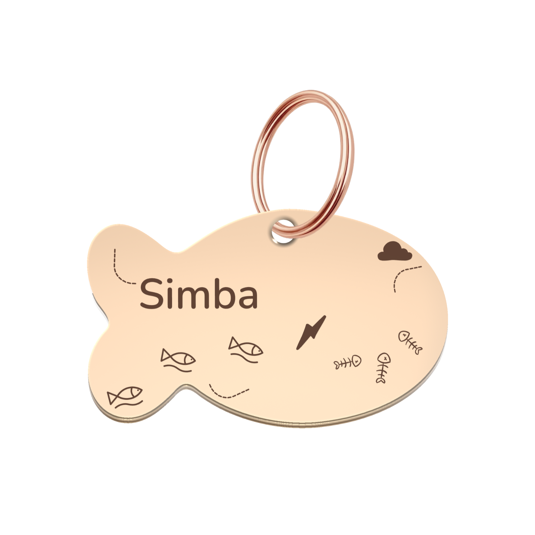 Little Explorer Pet Tag Template