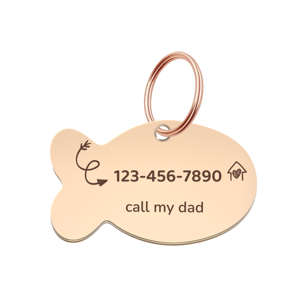Little Explorer Pet Tag Template