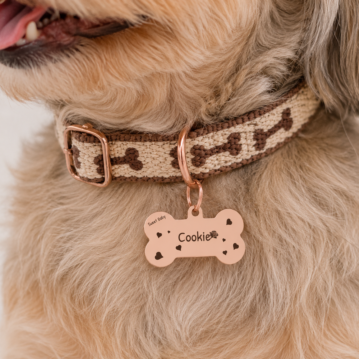 Sweet Baby Pet Tag Template
