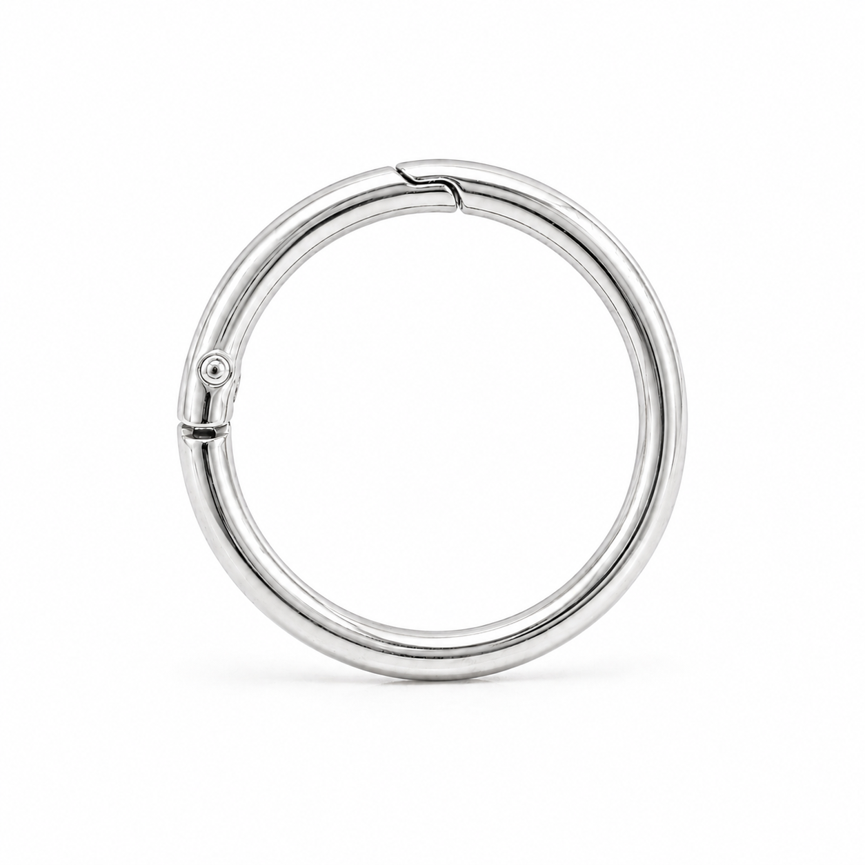 Pet Tag Keeper Ring