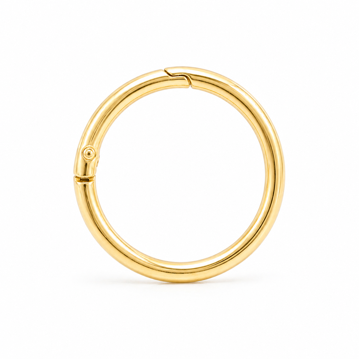 Pet Tag Keeper Ring