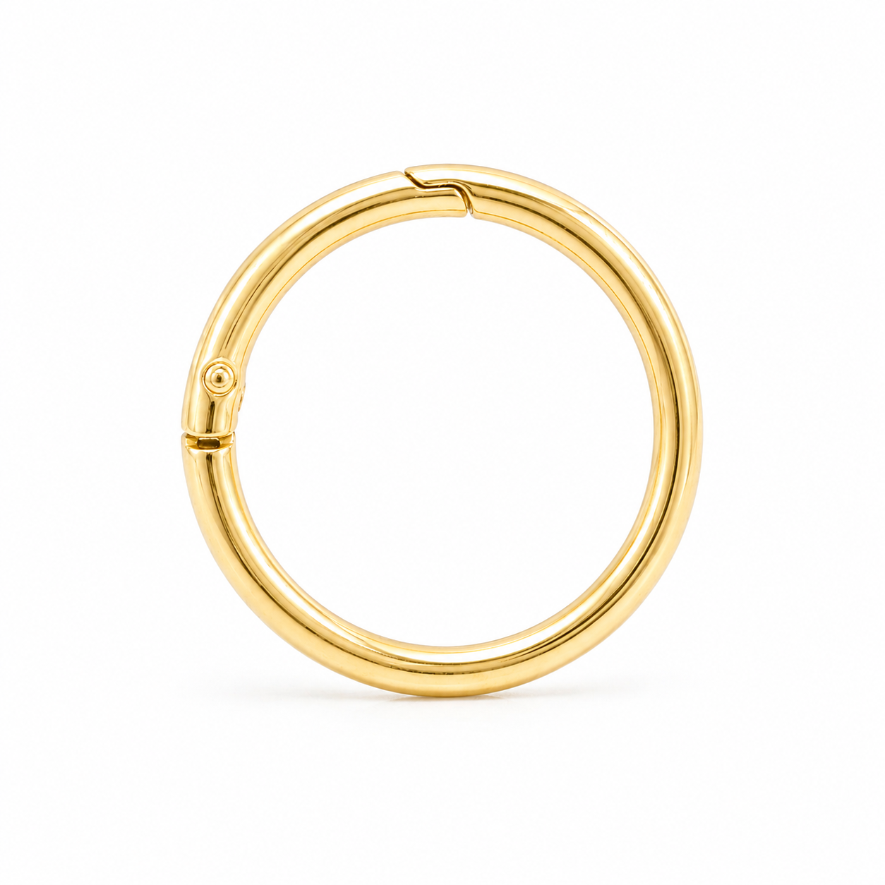 Pet Tag Keeper Ring