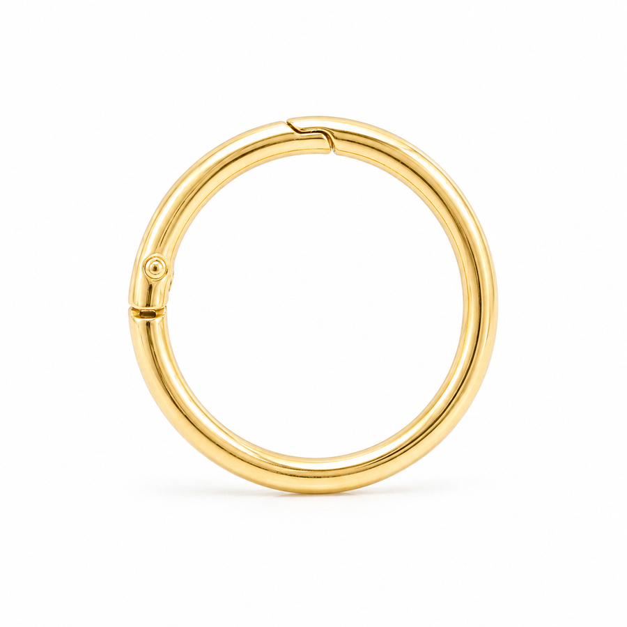 Pet Tag Keeper Ring