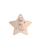 Starlight Guardian