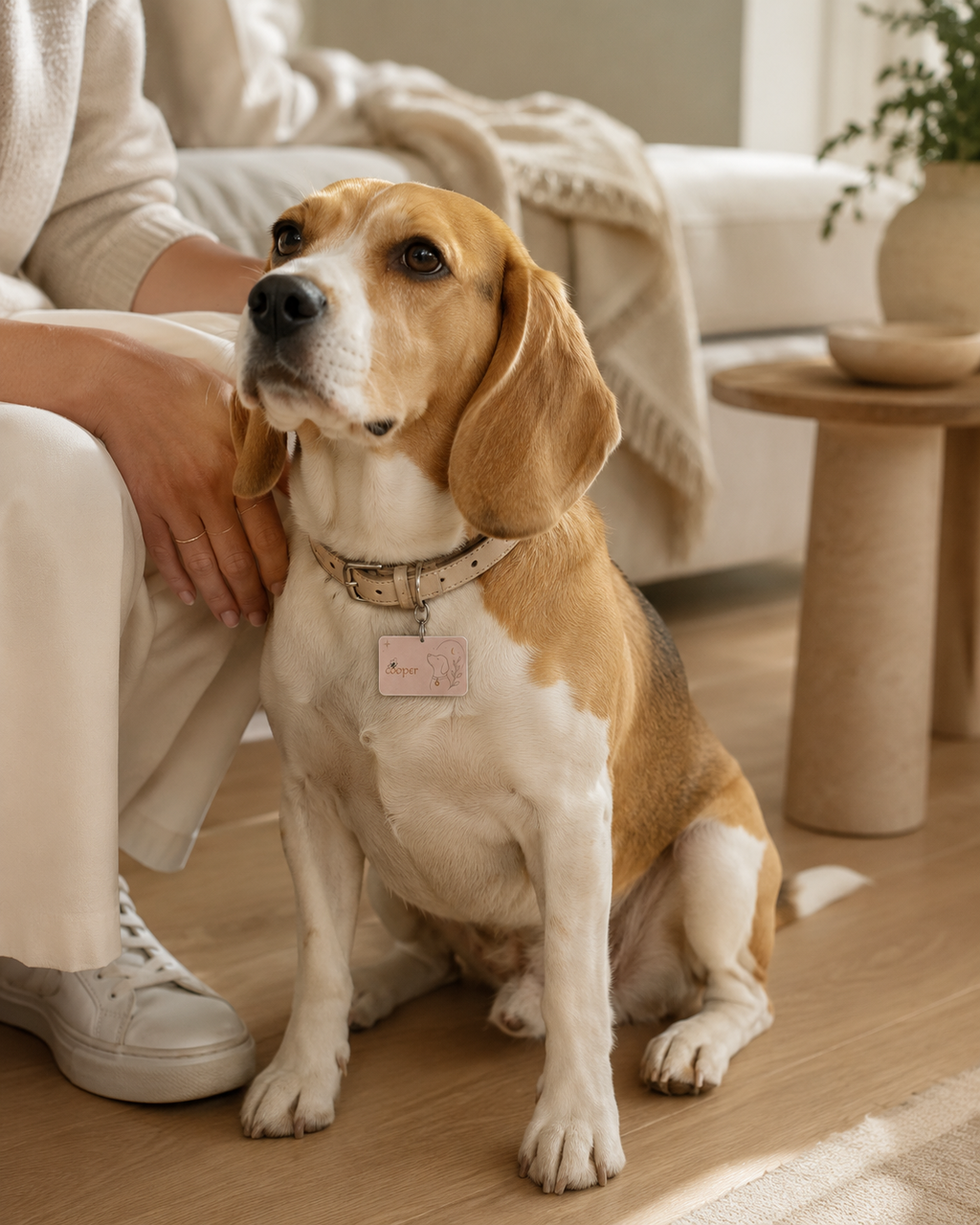 Gentle Companion