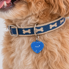 Little Sunshine Pet Tag Template