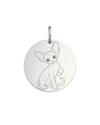 Whiskers in the Stars