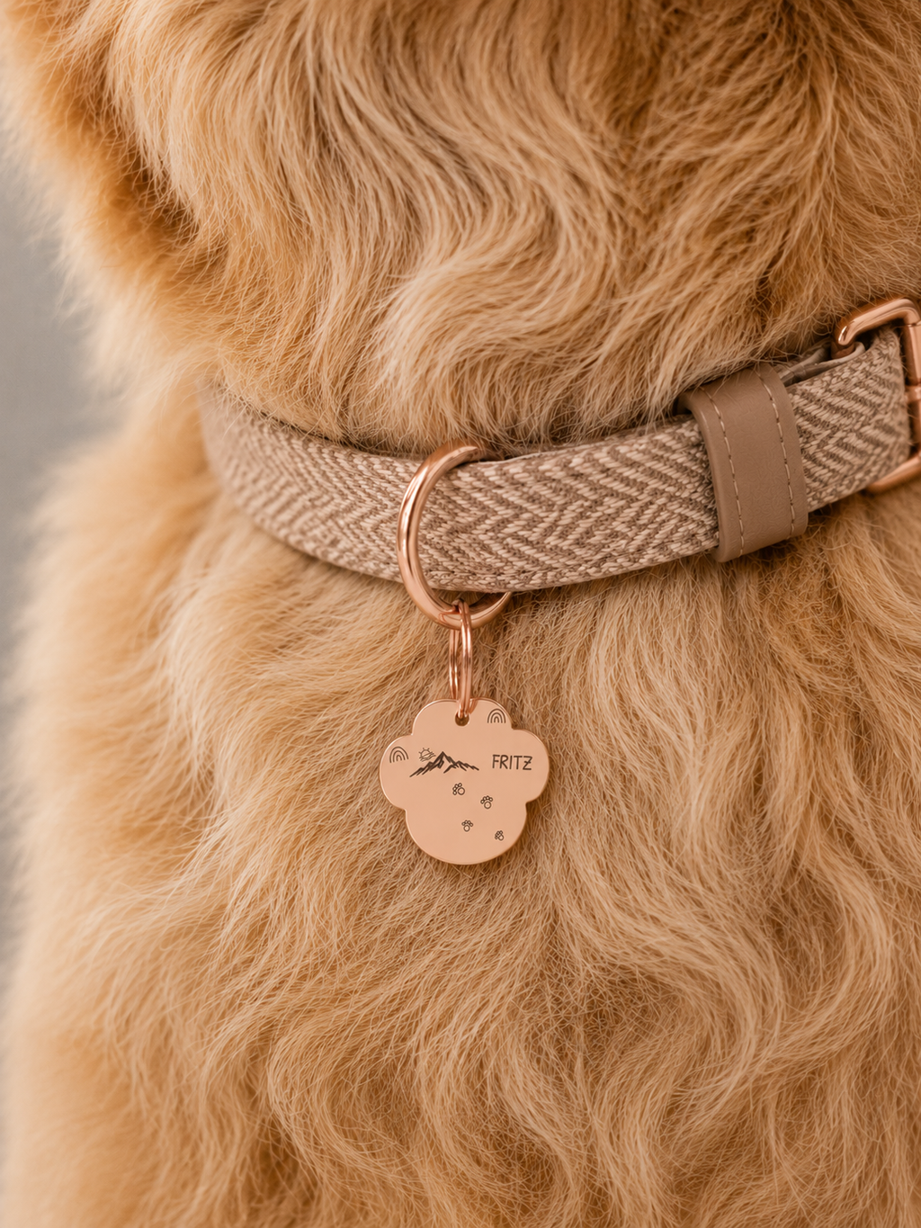 Mountain Trail Pet Tag Template