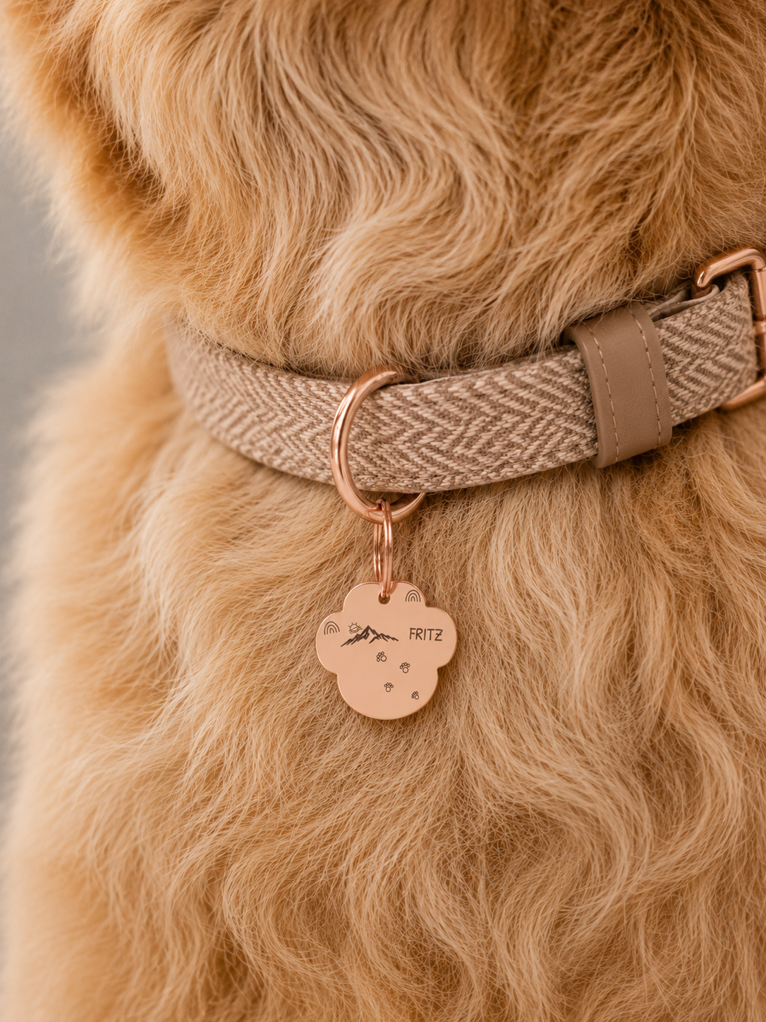 Mountain Trail Pet Tag Template