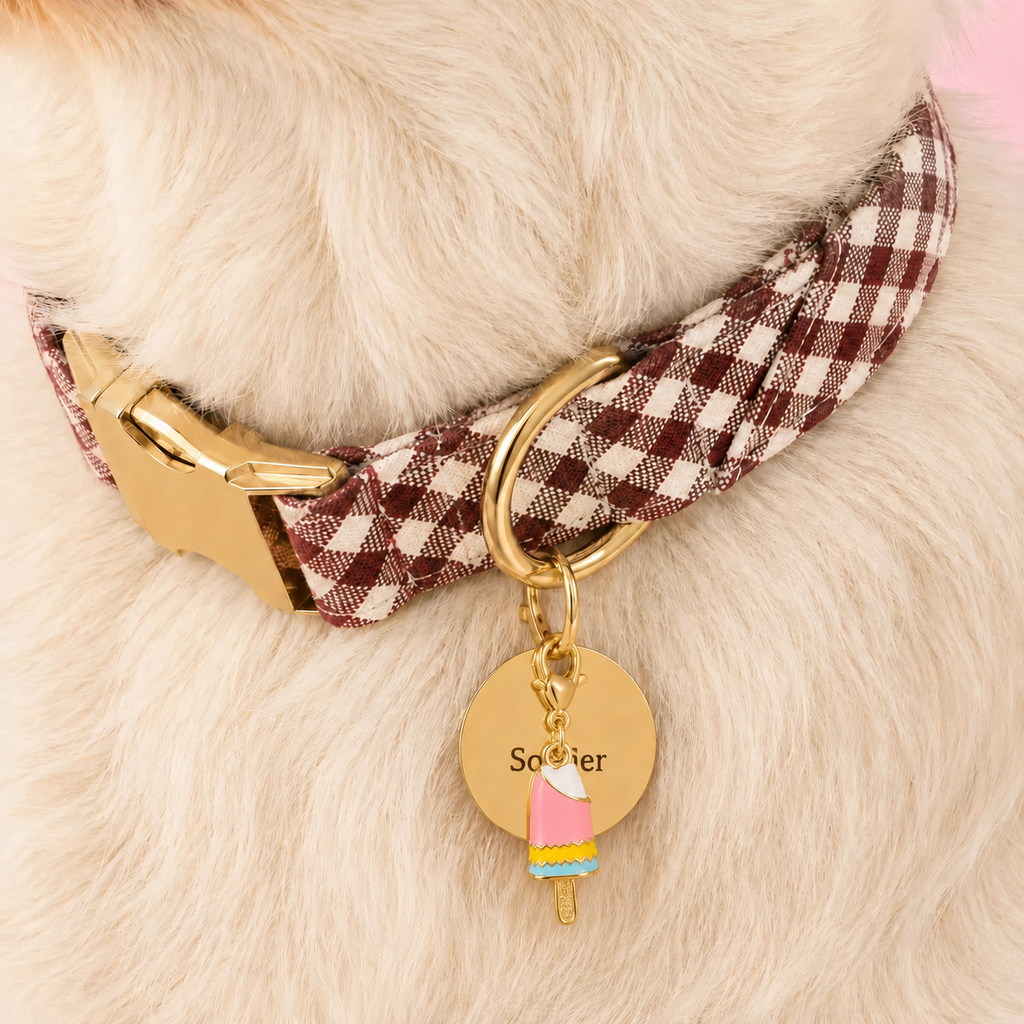 Custom Pet ID Tags – Design Your Own