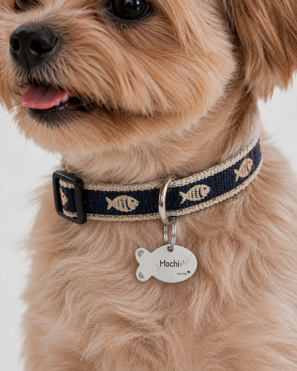 Sweet Moon Pet Tag Template