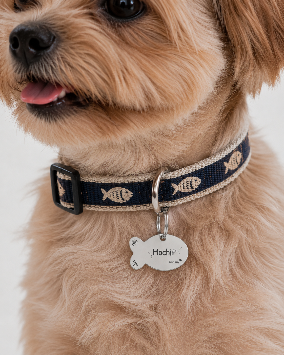 Sweet Moon Pet Tag Template