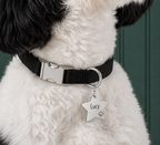 Custom Pet ID Tags – Design Your Own