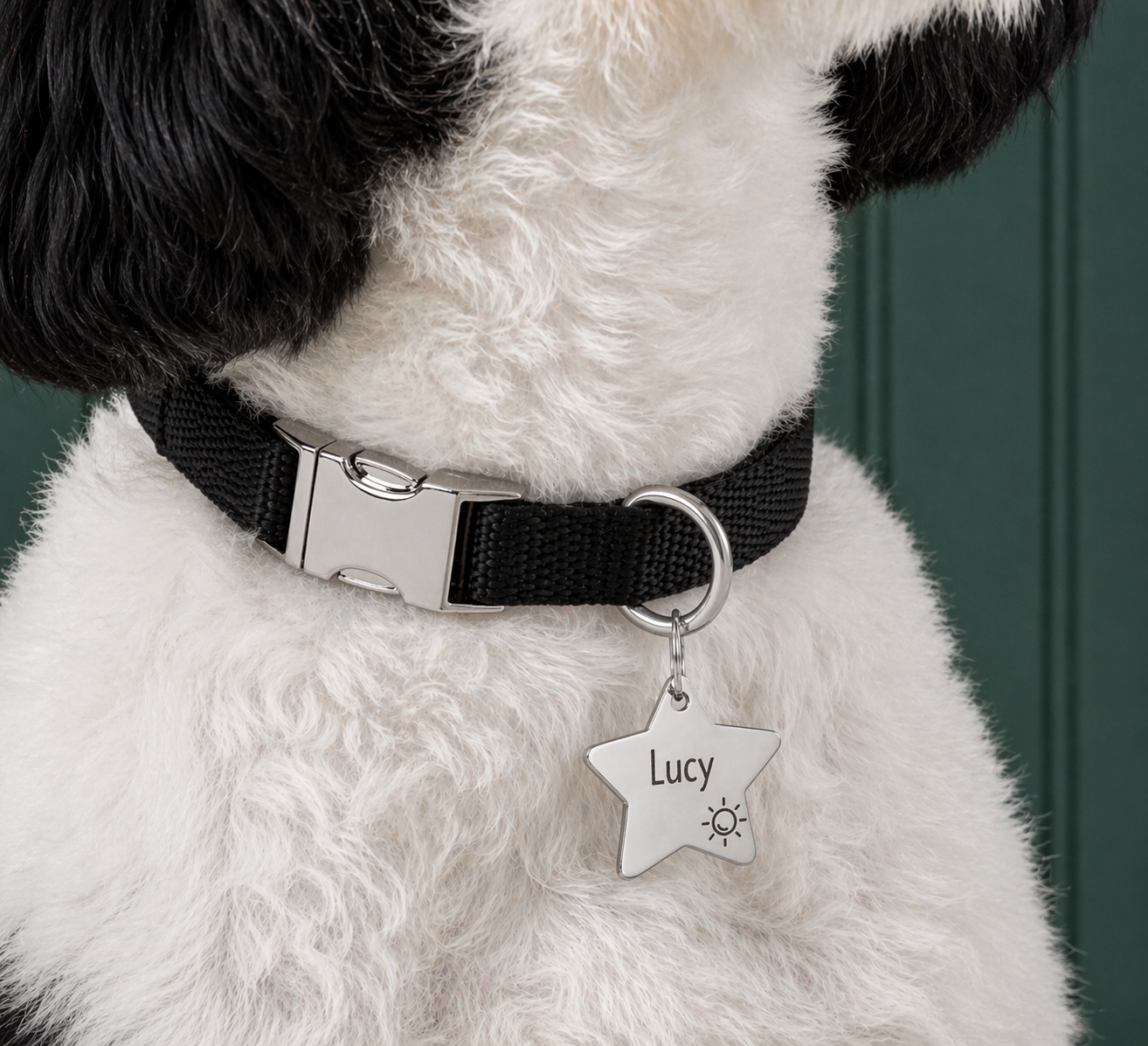 Custom Pet ID Tags – Design Your Own