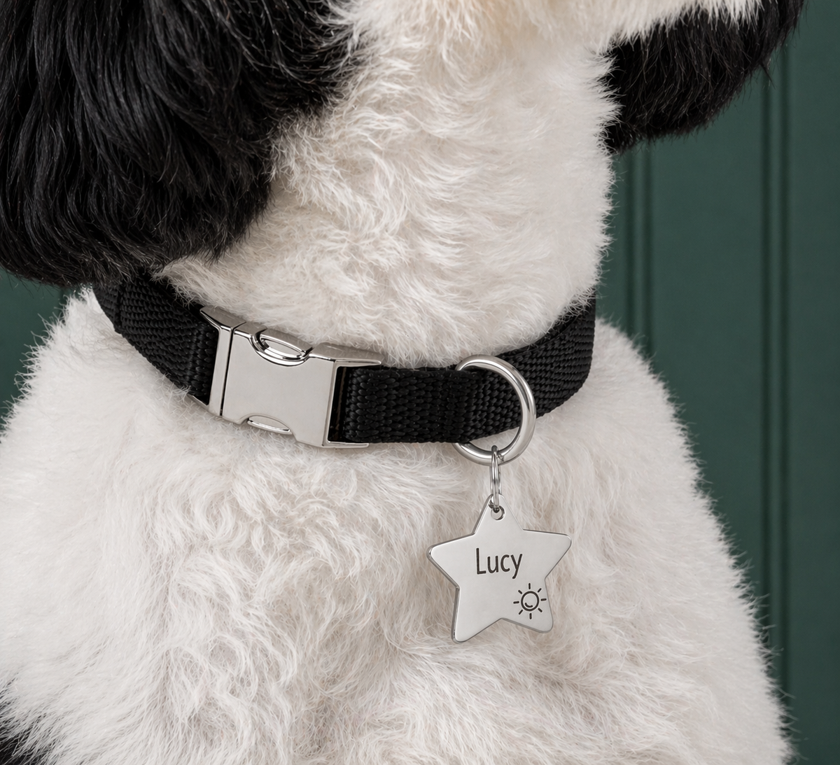 Pet Tag Keeper Ring | D-Shaped