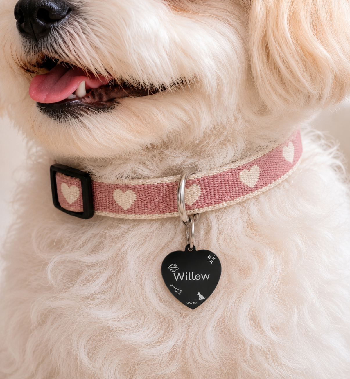 Good Boy Galaxy Pet Tag Template