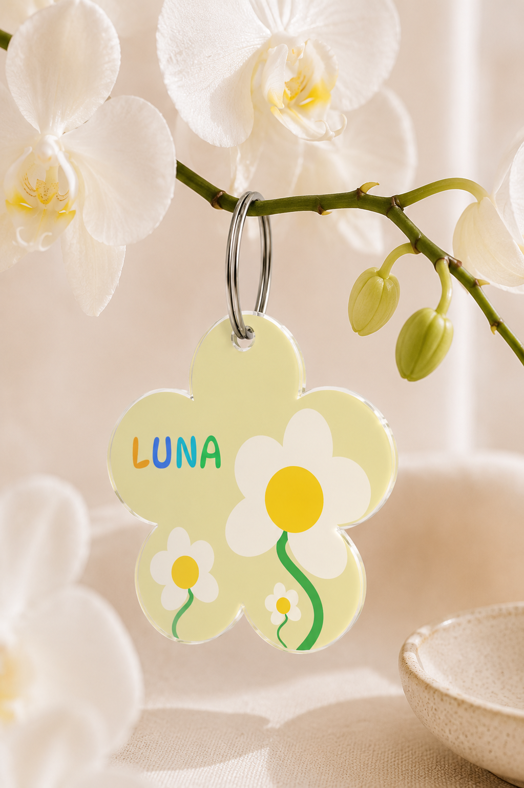 Sunny Bloom