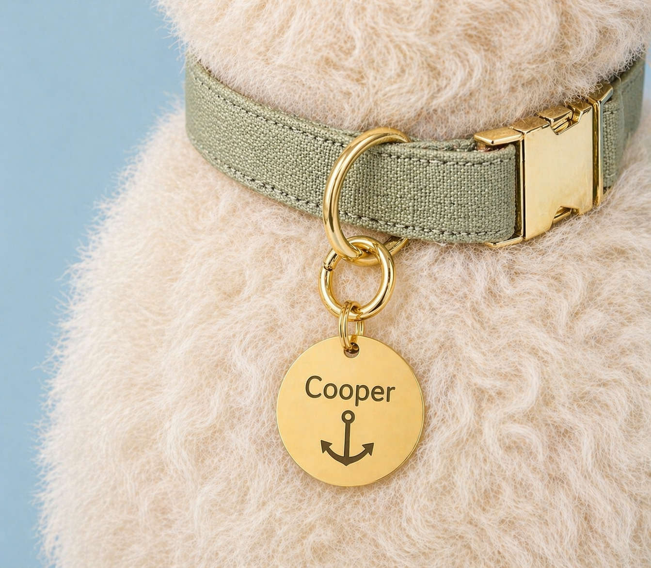 Pet Tag Keeper Ring