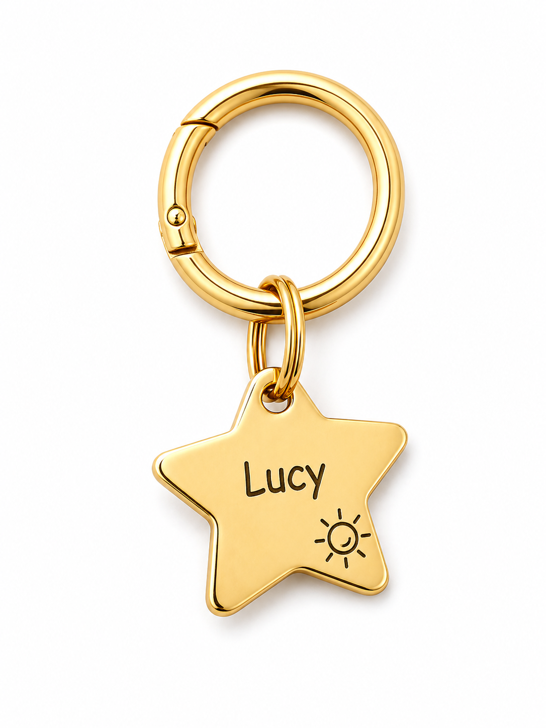 Pet Tag Keeper Ring