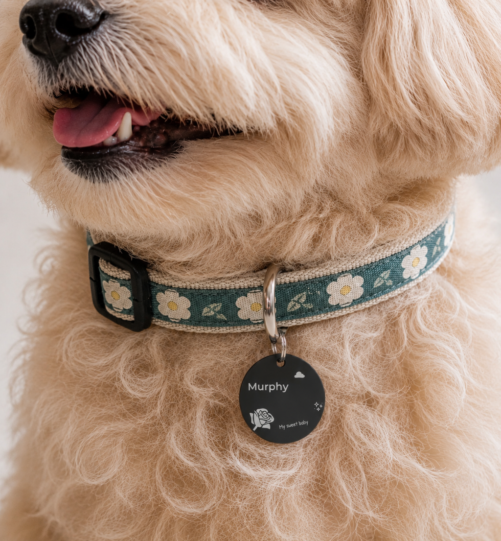 My Sweet Baby Pet Tag Template